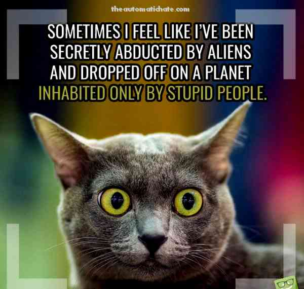 sometimes I feel like I