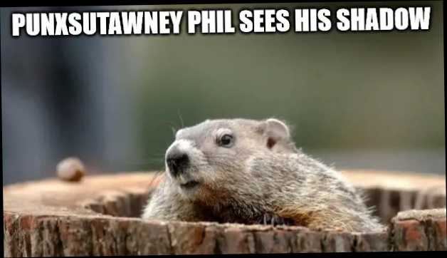   Punxsutawney Phil veu la seva ombra - Meme del dia de la marmota